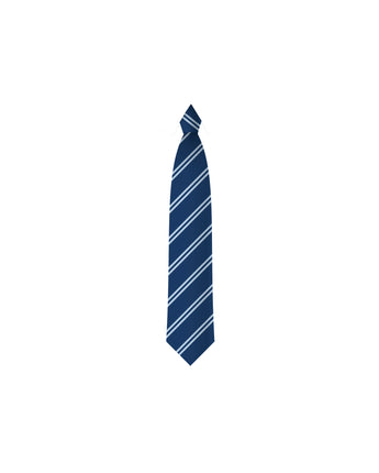 St Andrew's School Tie